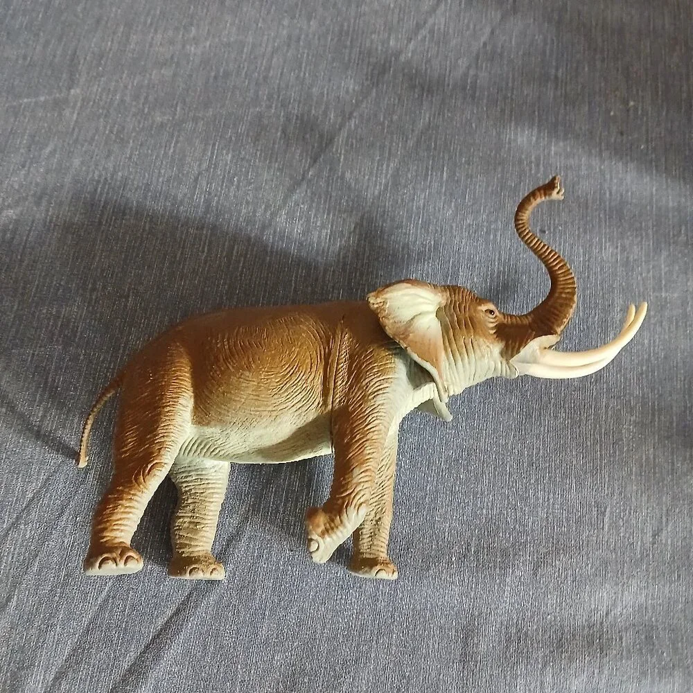 Safari Animal Elephant 9
